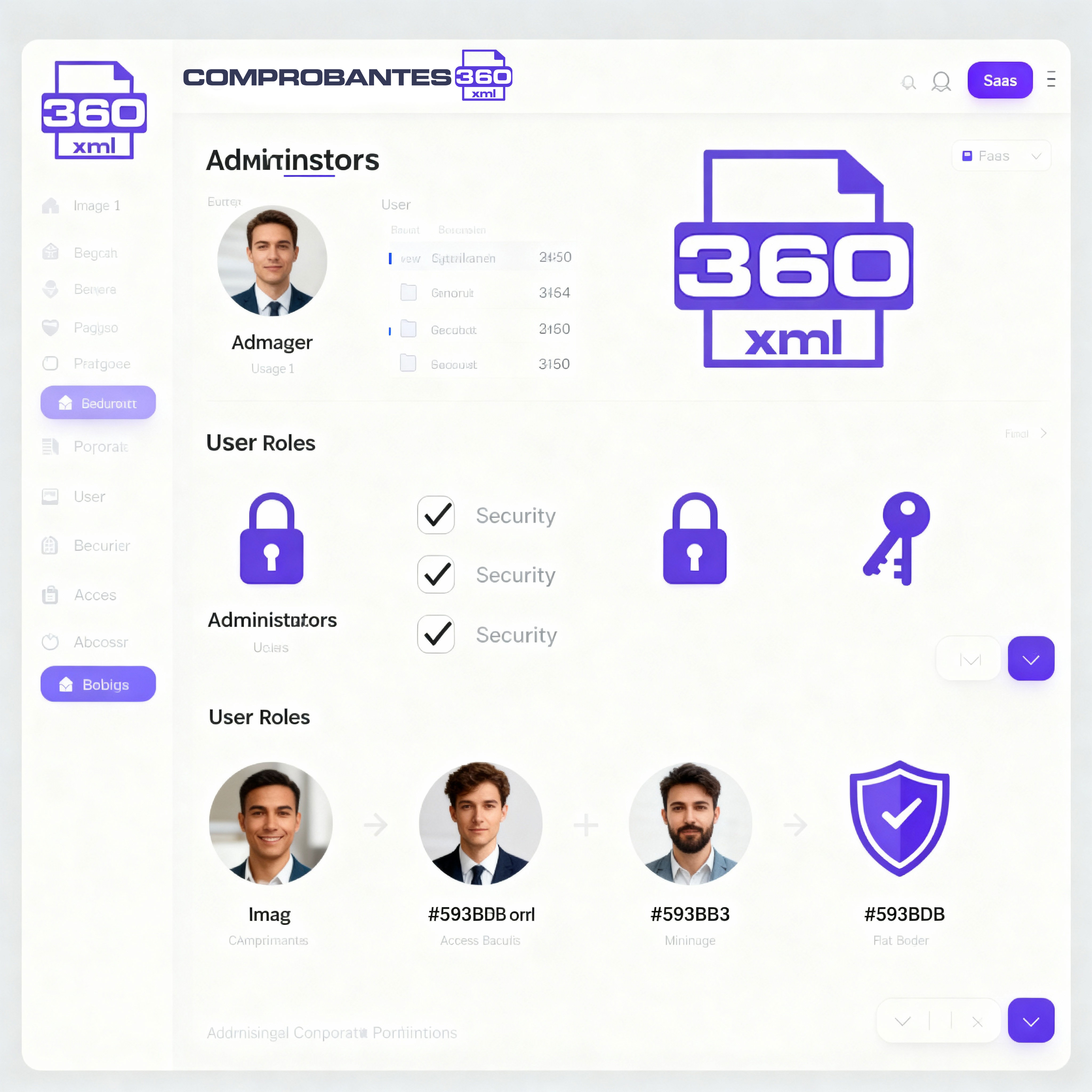 Asignación de accesos